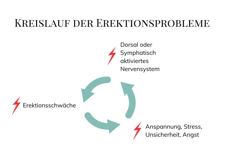 Erektionsprobleme sexualberatung, bern, sex, beratung, sextherapeut, sexualtherapeut, orgasmusprobleme