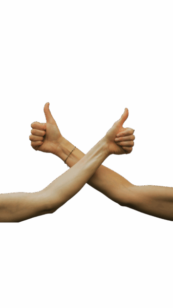 Teilnehmende eines Workshops sitzen in einem geschützten Raum und tauschen sich respektvoll über sexuelle Grenzen und Zustimmung aus. Die Atmosphäre ist vertrauensvoll und achtsam. Dieses Bild symbolisiert Gespräche und Übungen zum Thema sexueller Konsens.