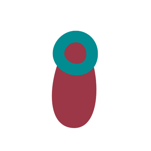 Outdoor-Sexualberatung – Deine Sexualität im Einklang mit der Natur